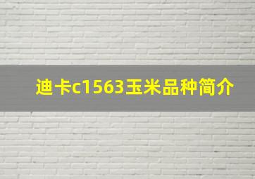 迪卡c1563玉米品种简介