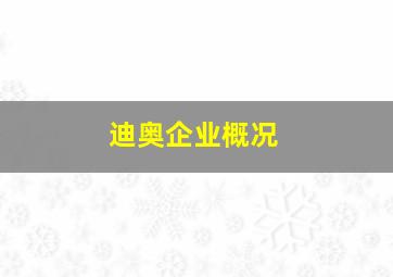 迪奥企业概况