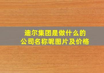 迪尔集团是做什么的公司名称呢图片及价格