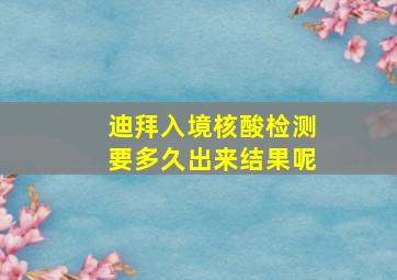 迪拜入境核酸检测要多久出来结果呢