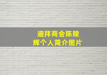 迪拜商会陈陵辉个人简介图片