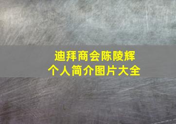 迪拜商会陈陵辉个人简介图片大全