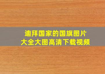 迪拜国家的国旗图片大全大图高清下载视频