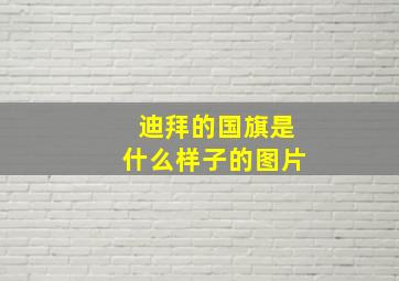 迪拜的国旗是什么样子的图片