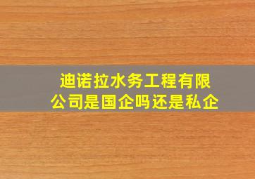 迪诺拉水务工程有限公司是国企吗还是私企