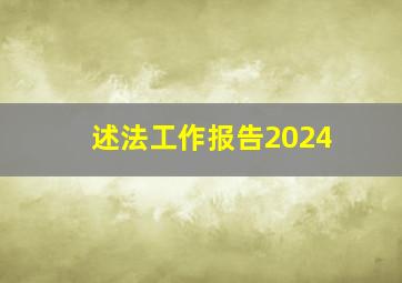 述法工作报告2024