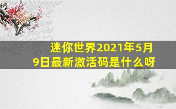 迷你世界2021年5月9日最新激活码是什么呀