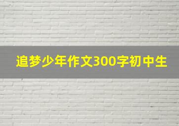 追梦少年作文300字初中生