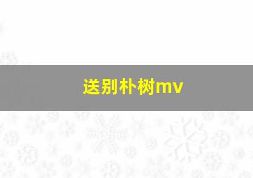 送别朴树mv