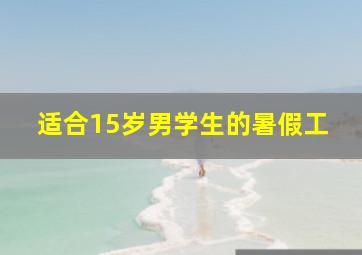 适合15岁男学生的暑假工