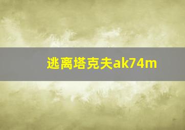 逃离塔克夫ak74m