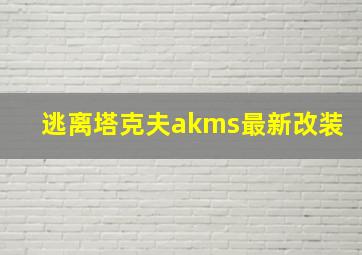 逃离塔克夫akms最新改装