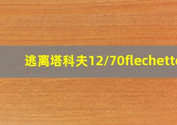 逃离塔科夫12/70flechette