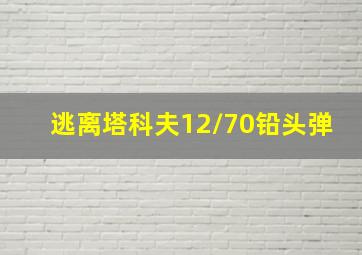 逃离塔科夫12/70铅头弹