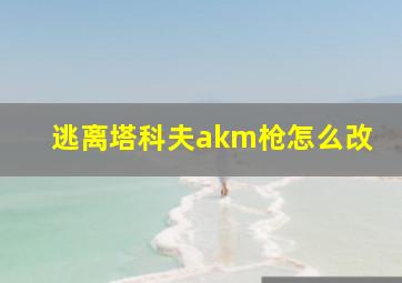 逃离塔科夫akm枪怎么改