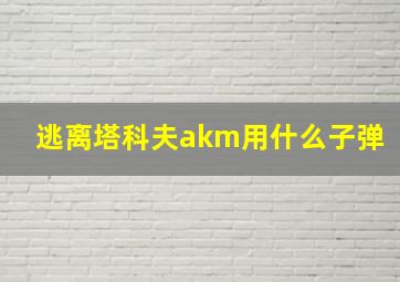 逃离塔科夫akm用什么子弹