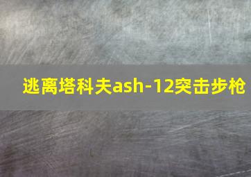 逃离塔科夫ash-12突击步枪