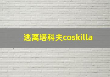 逃离塔科夫coskilla