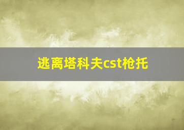 逃离塔科夫cst枪托