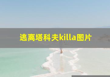 逃离塔科夫killa图片