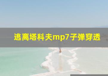 逃离塔科夫mp7子弹穿透