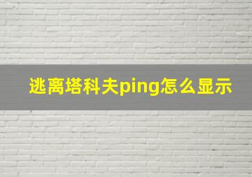 逃离塔科夫ping怎么显示