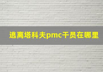 逃离塔科夫pmc干员在哪里