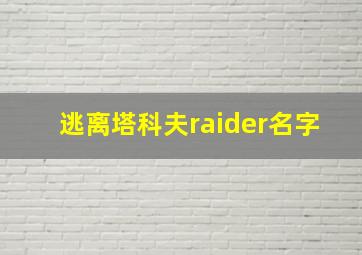 逃离塔科夫raider名字