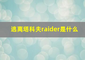 逃离塔科夫raider是什么