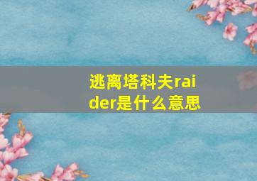 逃离塔科夫raider是什么意思