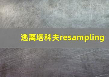 逃离塔科夫resampling