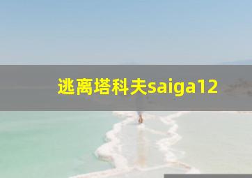 逃离塔科夫saiga12