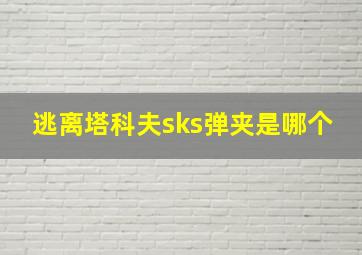 逃离塔科夫sks弹夹是哪个