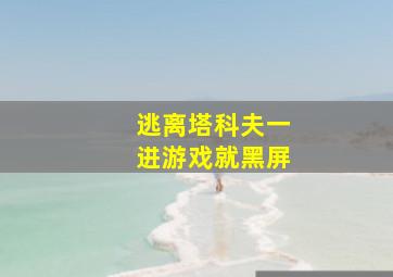 逃离塔科夫一进游戏就黑屏