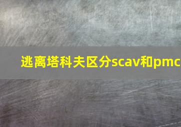 逃离塔科夫区分scav和pmc