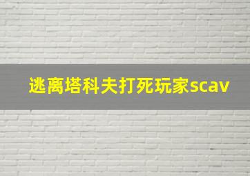 逃离塔科夫打死玩家scav