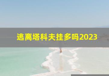 逃离塔科夫挂多吗2023