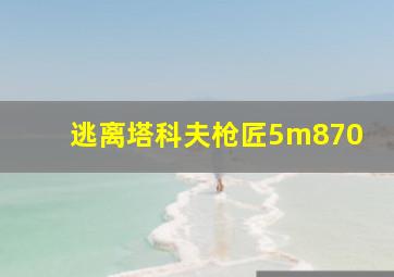 逃离塔科夫枪匠5m870