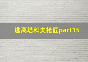 逃离塔科夫枪匠part15