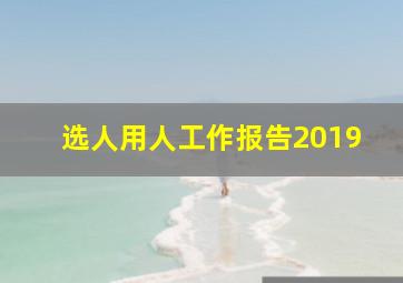 选人用人工作报告2019