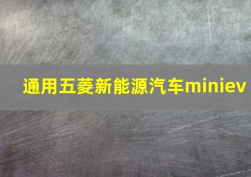 通用五菱新能源汽车miniev