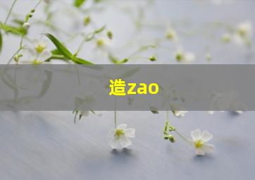 造zao