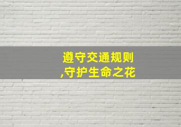 遵守交通规则,守护生命之花