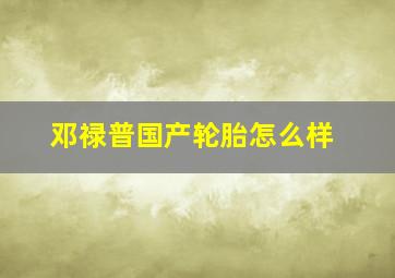 邓禄普国产轮胎怎么样