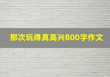 那次玩得真高兴800字作文