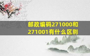 邮政编码271000和271001有什么区别