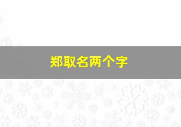 郑取名两个字