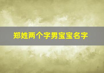 郑姓两个字男宝宝名字