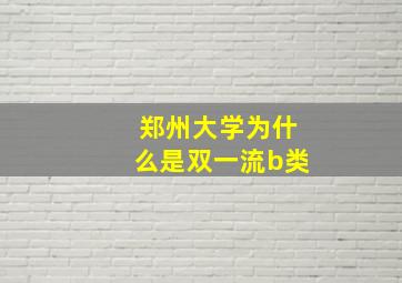 郑州大学为什么是双一流b类