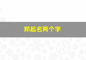 郑起名两个字